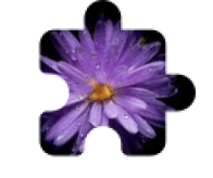 Upscalepics Integrate