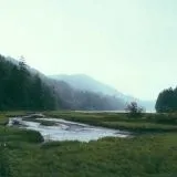 Upscalepics trial image nature
