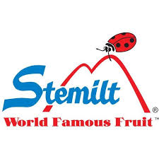 Stemit Logo